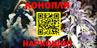 СК Кингисепп