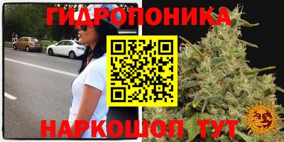 таблы Кимры