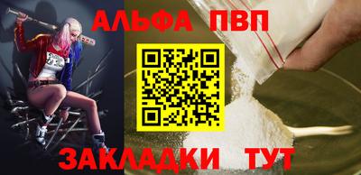 СК Кингисепп