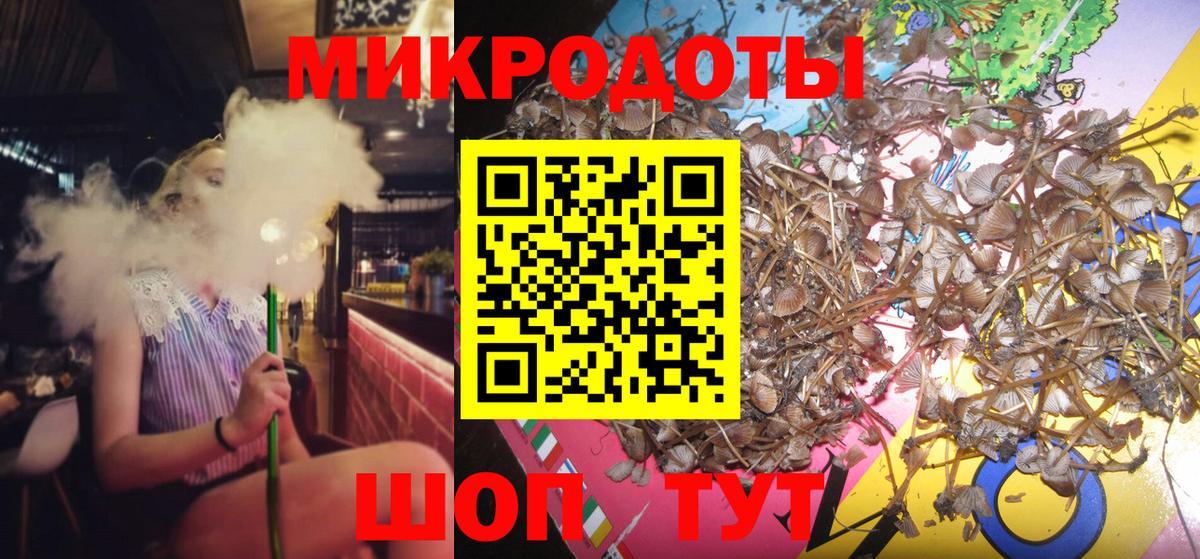 Псилоцибиновые грибы Cubensis  Вход с VPN  Кирово-Чепецк 